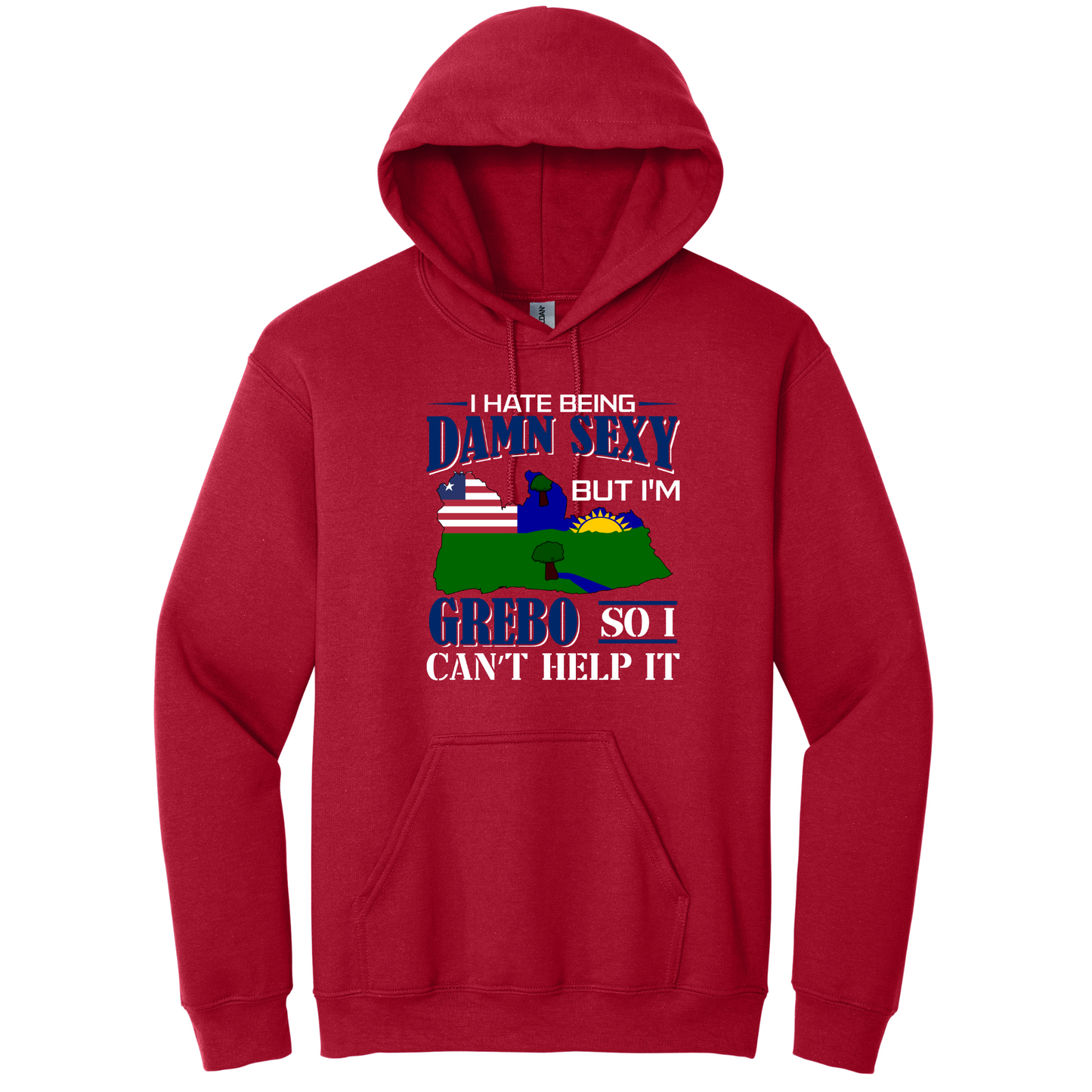 I Hate Being Damn Sexy But I'm -Red Hoodie