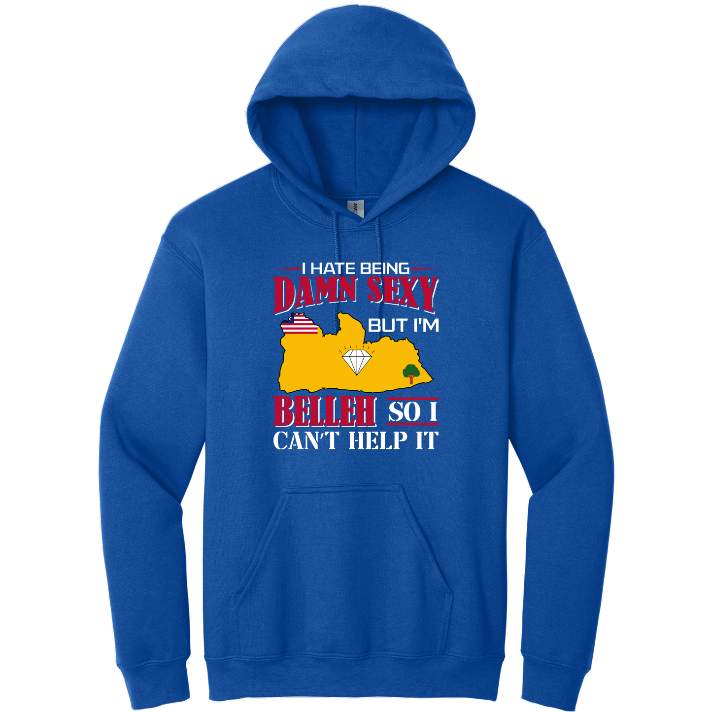 I Hate Being Damn Sexy But I'm -Blue Hoodie