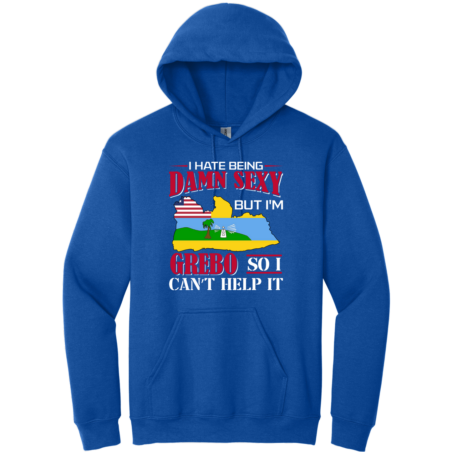 I Hate Being Damn Sexy But I'm -Blue Hoodie