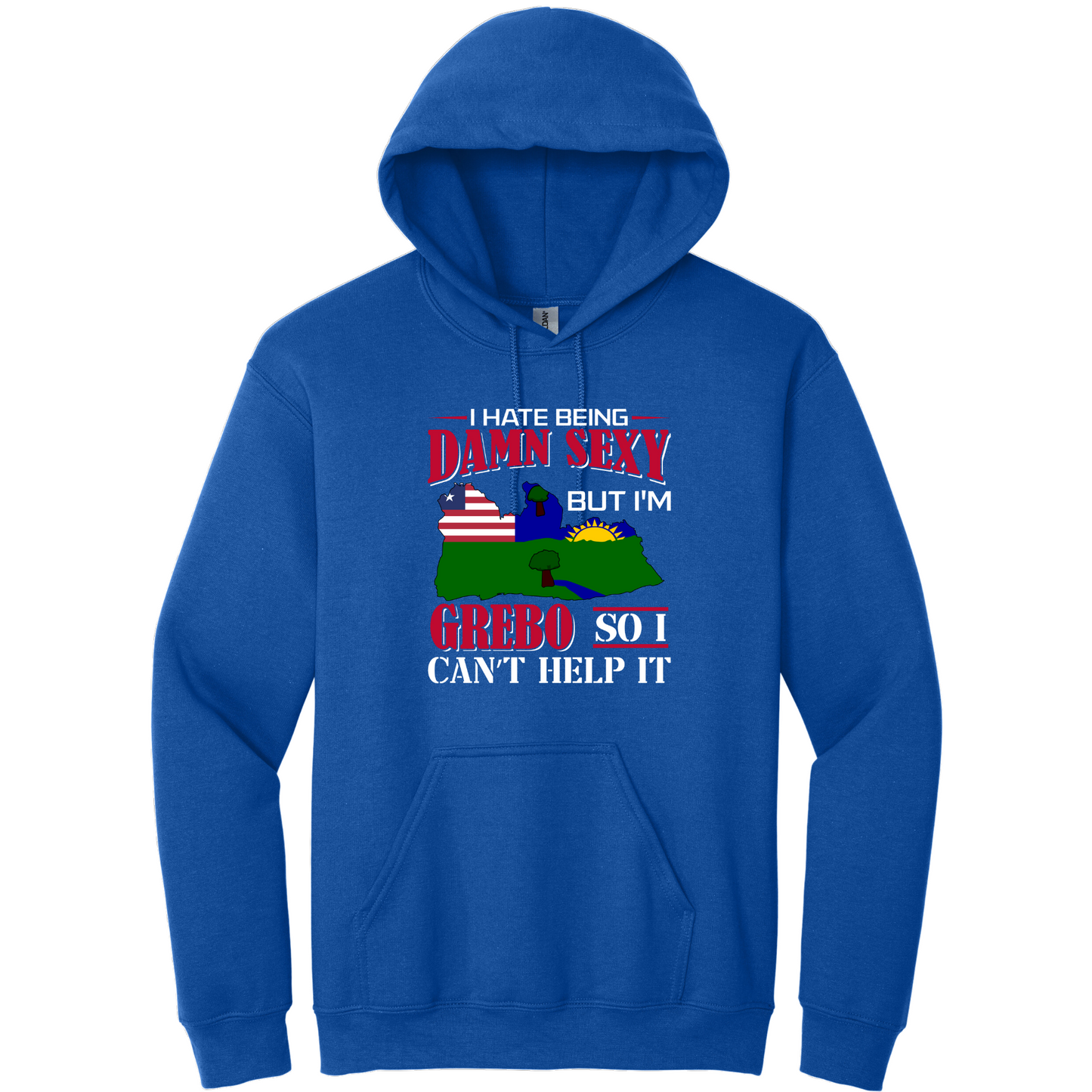 I Hate Being Damn Sexy But I'm -Blue Hoodie